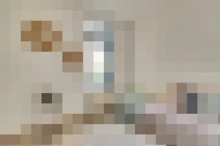 Raam 63 g Gouda thumbnail 20