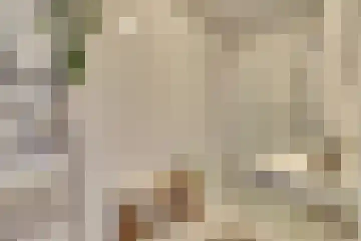 Raam 63 g Gouda thumbnail 21