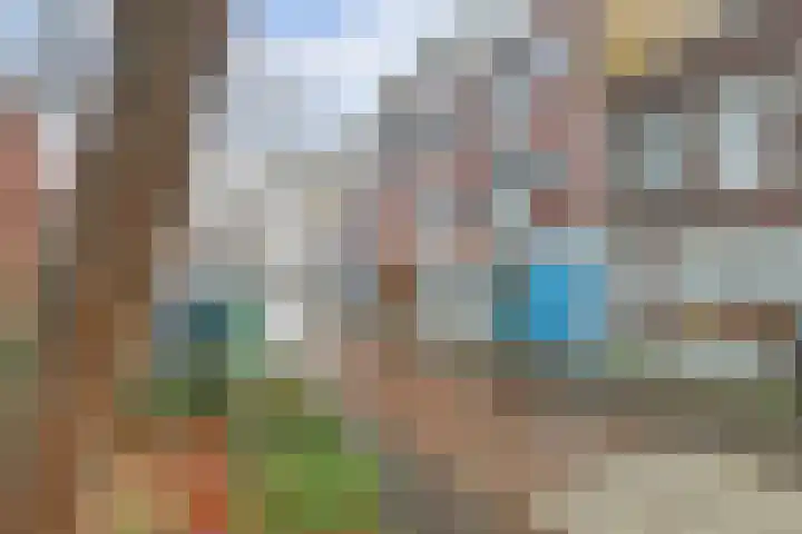 Raam 63 g Gouda thumbnail 23