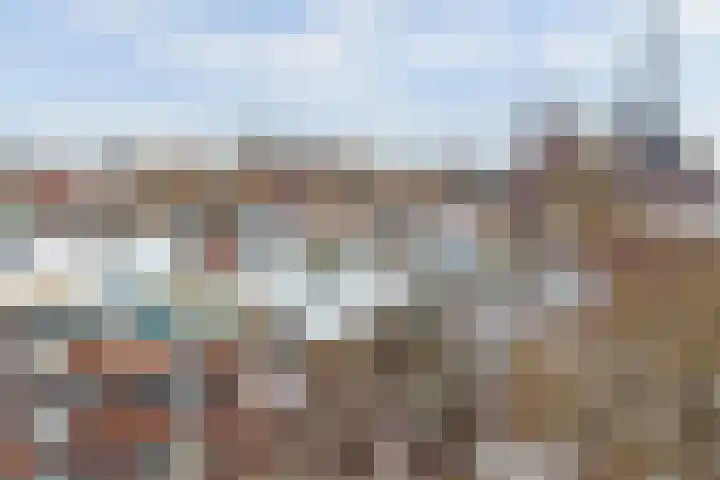 Raam 63 g Gouda thumbnail 27