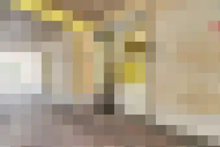 Raam 63 g Gouda thumbnail 6