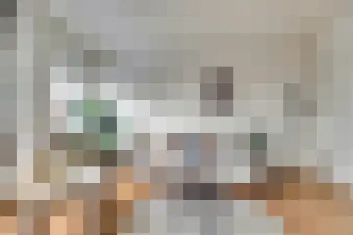 Raam 63 g Gouda thumbnail 9