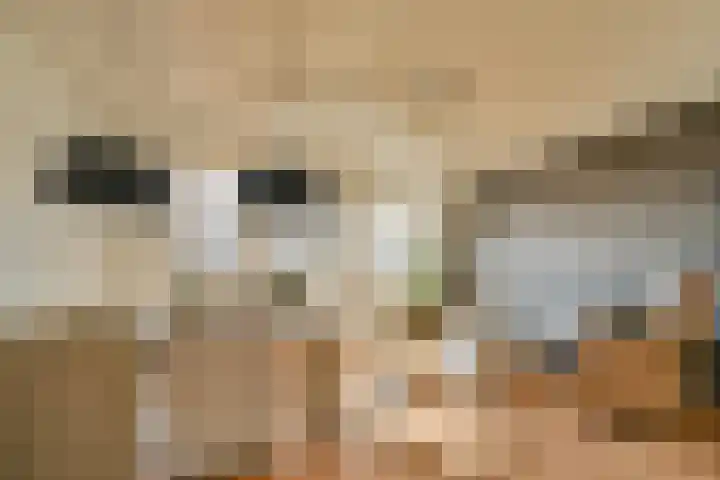 Raam 63 j Gouda thumbnail 10