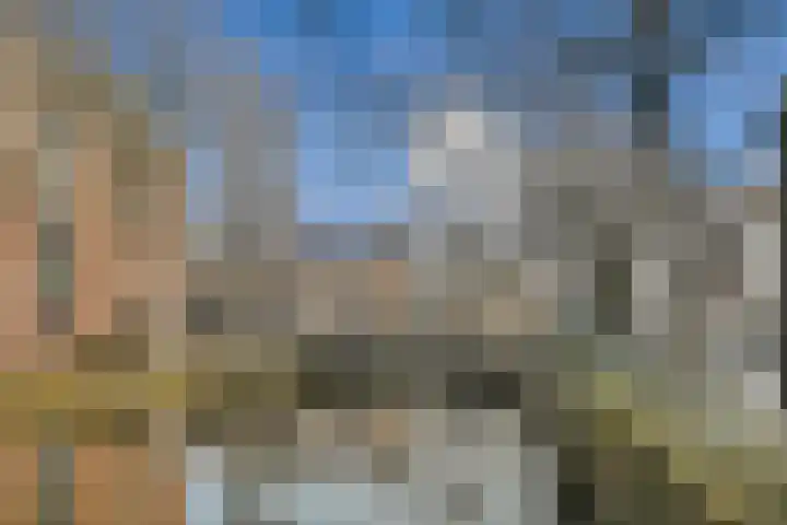 Raam 63 j Gouda thumbnail 23