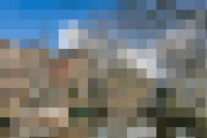 Raam 63 j Gouda thumbnail 24