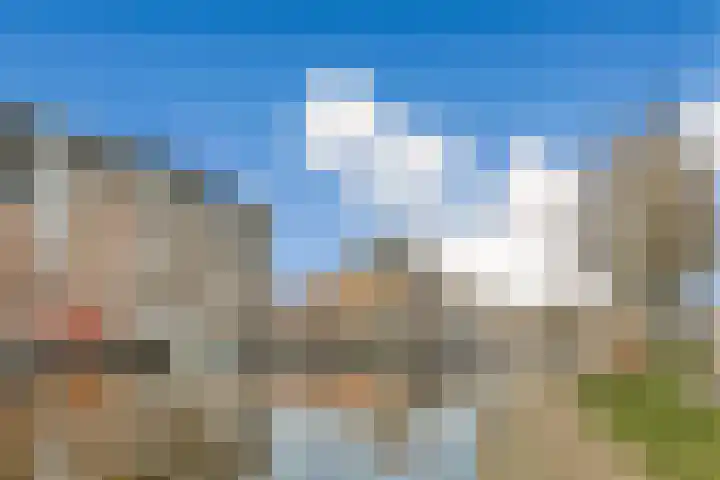 Raam 63 j Gouda thumbnail 25