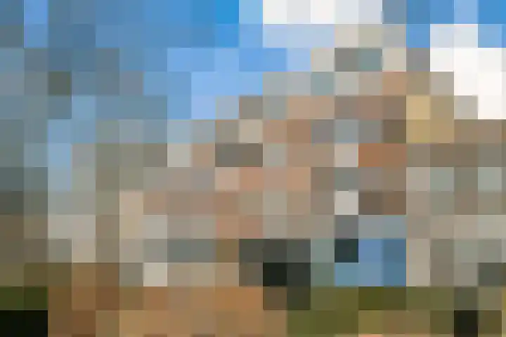Raam 63 j Gouda thumbnail 26