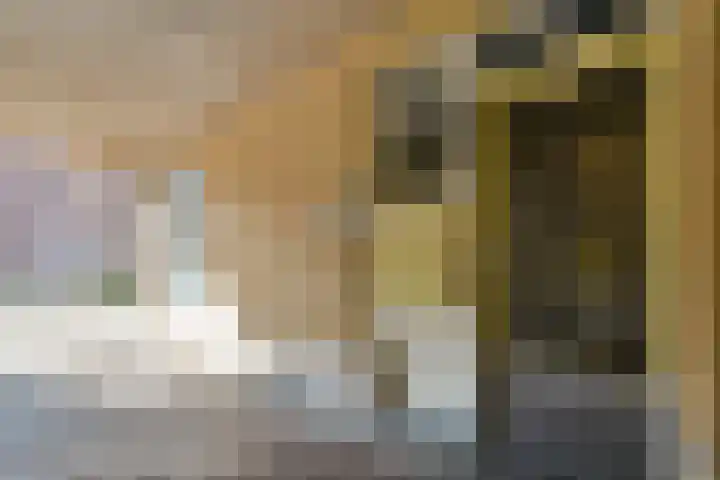 Raam 63 j Gouda thumbnail 6