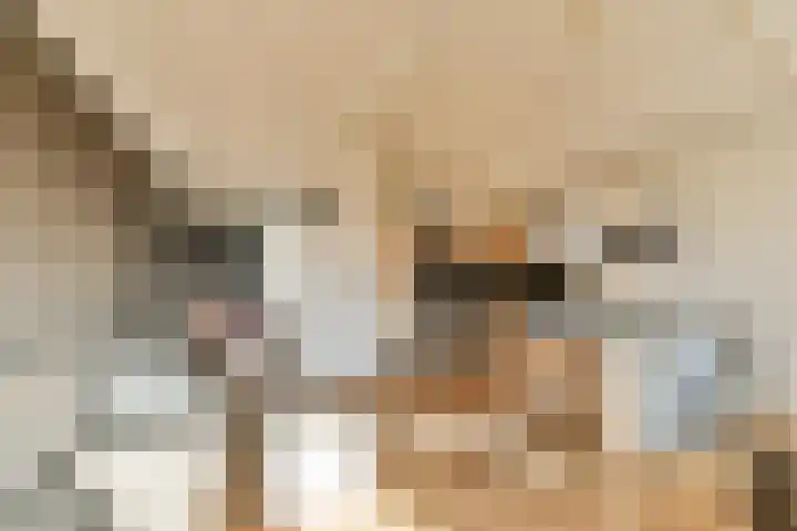 Raam 63 j Gouda thumbnail 8