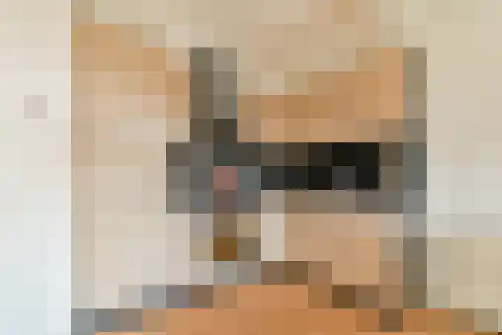 Raam 63 j Gouda thumbnail 9