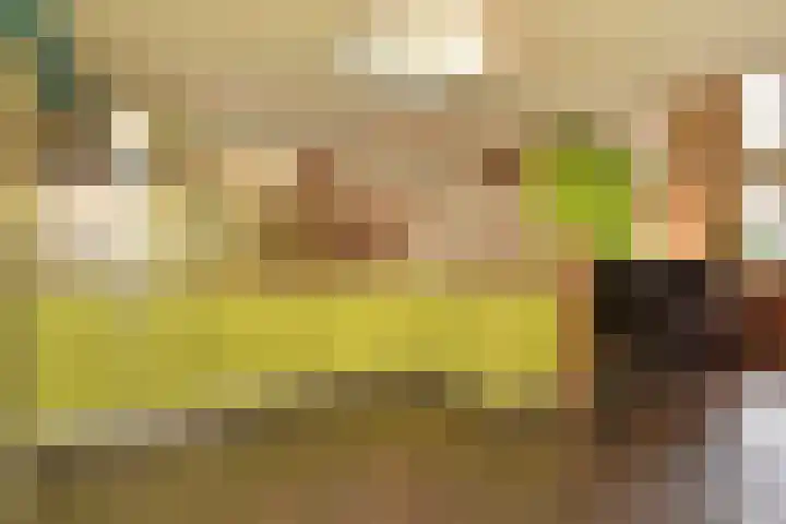 Raam 68 Delft thumbnail 14