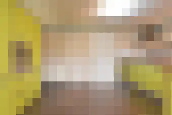 Raam 68 Delft thumbnail 16