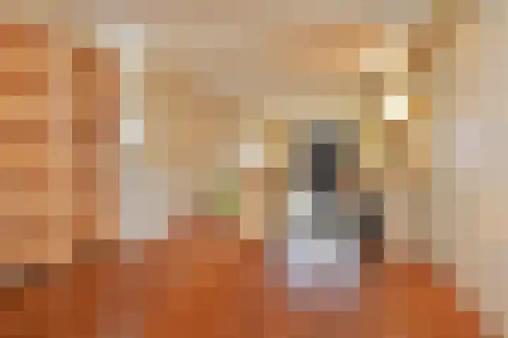 Raam 68 Delft thumbnail 28