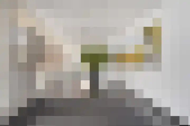 Raam 68 Delft thumbnail 5
