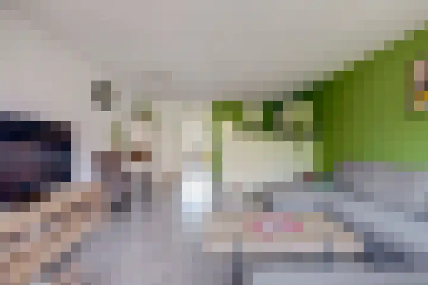 Raam 7 a Gouda thumbnail 12
