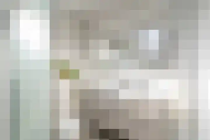 Raambergstraat 1 Tilburg thumbnail 21