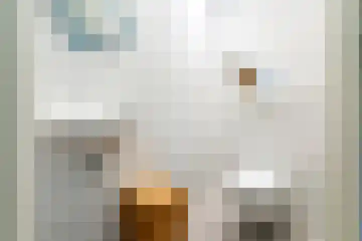 Raambergstraat 1 Tilburg thumbnail 23