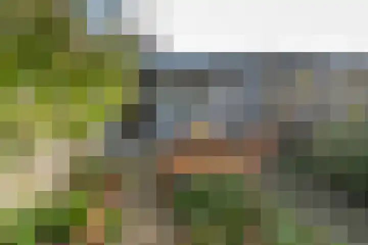 Raambergstraat 1 Tilburg thumbnail 34