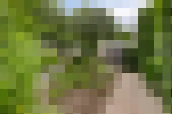 Raamdijk 32 Grave thumbnail 30