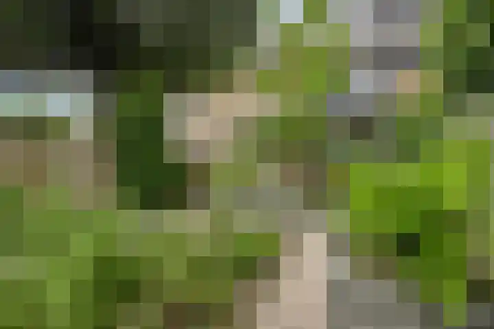 Raamdijk 32 Grave thumbnail 32