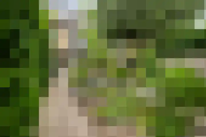 Raamdijk 32 Grave thumbnail 33