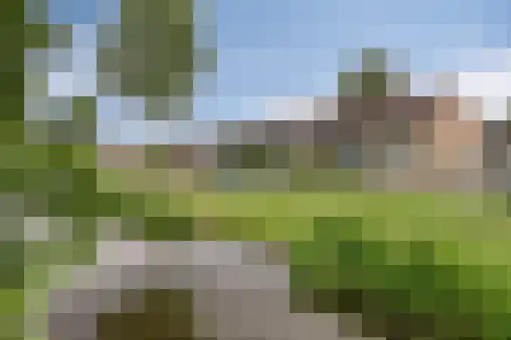 Raamdijk 32 Grave thumbnail 36