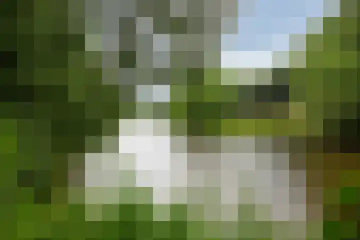 Raamdijk 32 Grave thumbnail 37