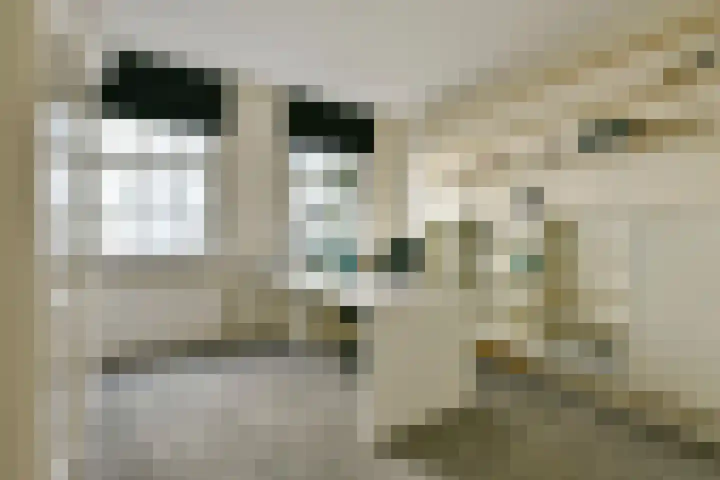 Raamgracht 17 A Amsterdam thumbnail 10