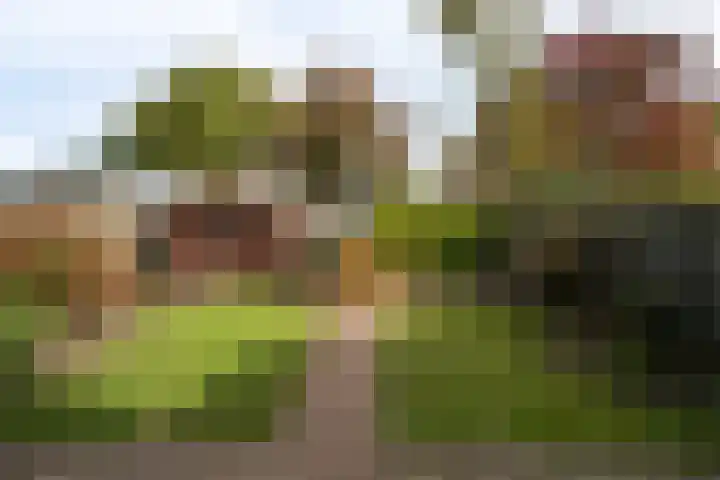 Raamhof 35 Uden thumbnail 10