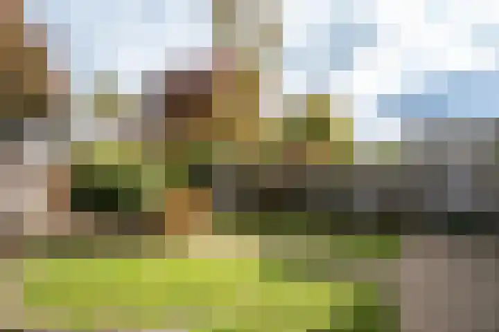 Raamhof 35 Uden thumbnail 11