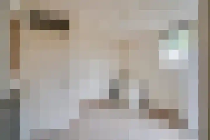 Raamhof 35 Uden thumbnail 21