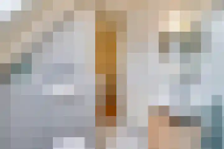Raamhof 35 Uden thumbnail 29