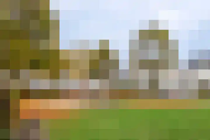 Raamhof 35 Uden thumbnail 4