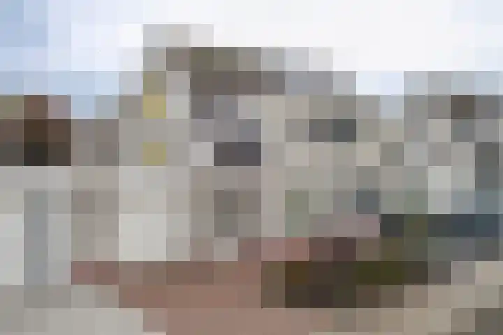 Raamhof 35 Uden thumbnail 6