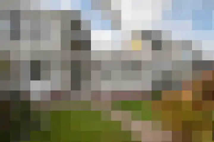 Raamhof 35 Uden thumbnail 7