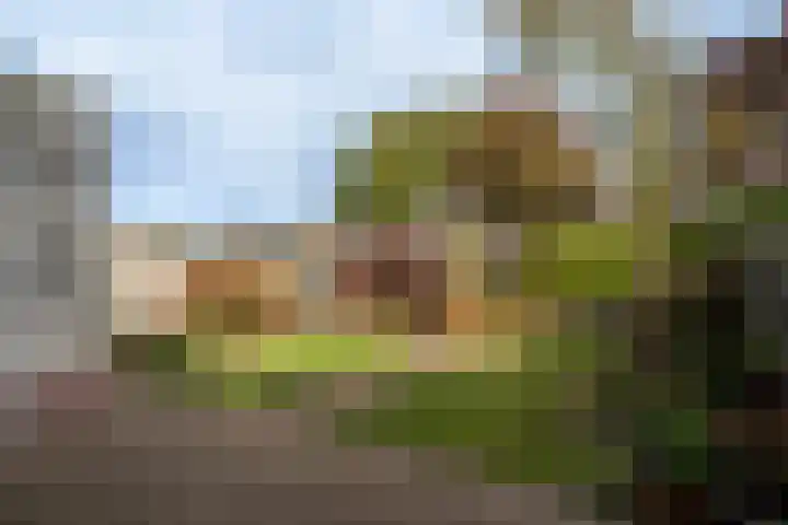 Raamhof 35 Uden thumbnail 9
