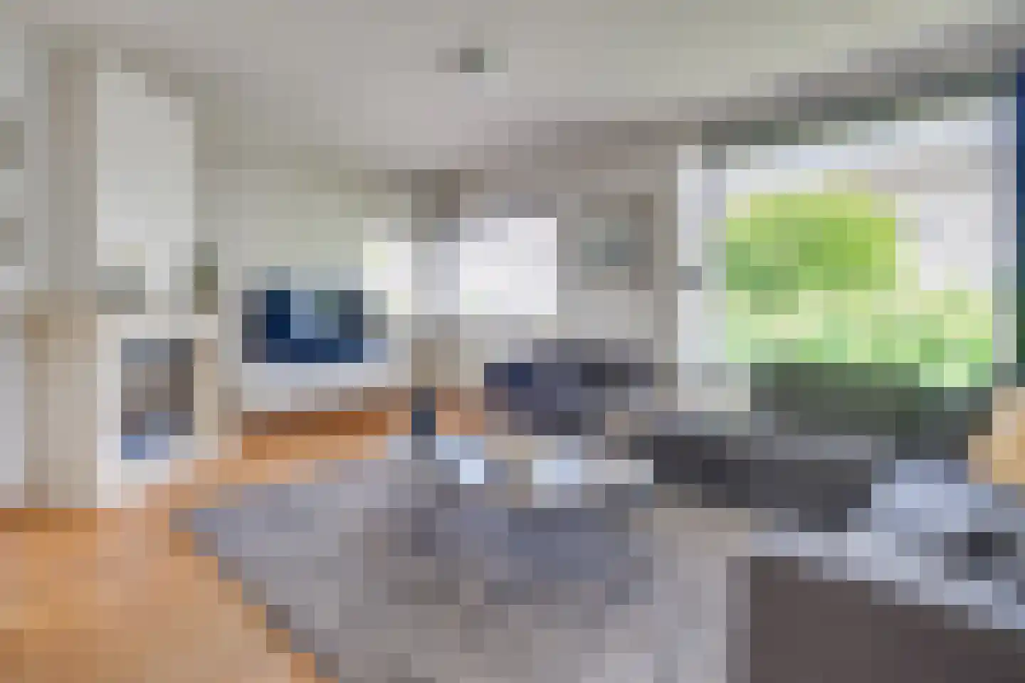 Raamhof 53 Uden thumbnail 11