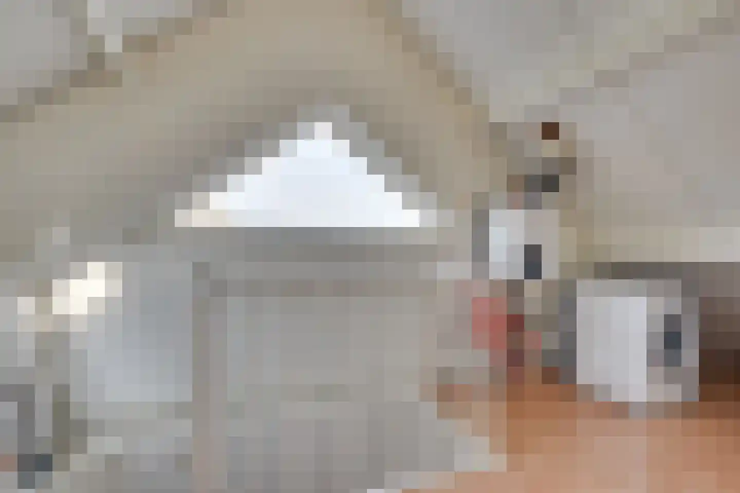 Raamhof 53 Uden thumbnail 28