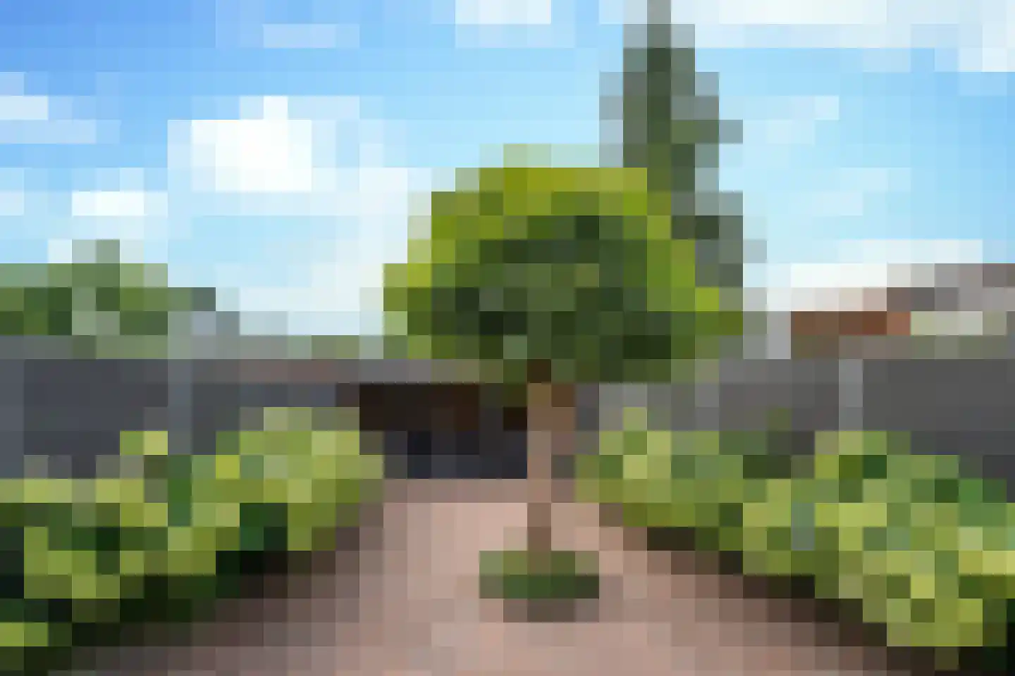Raamhof 53 Uden thumbnail 32