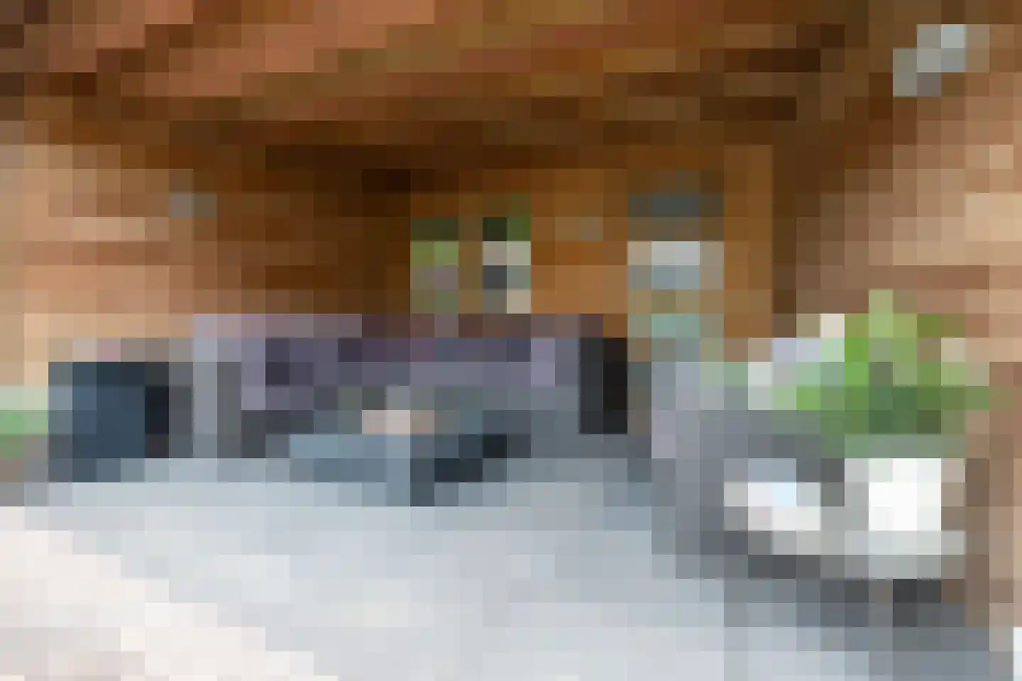Raamhof 53 Uden thumbnail 33