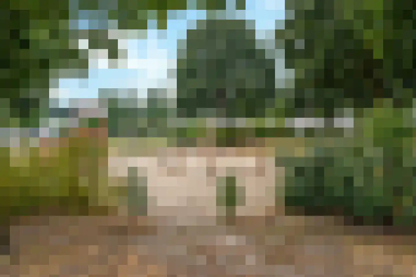 Raamhof 53 Uden thumbnail 34