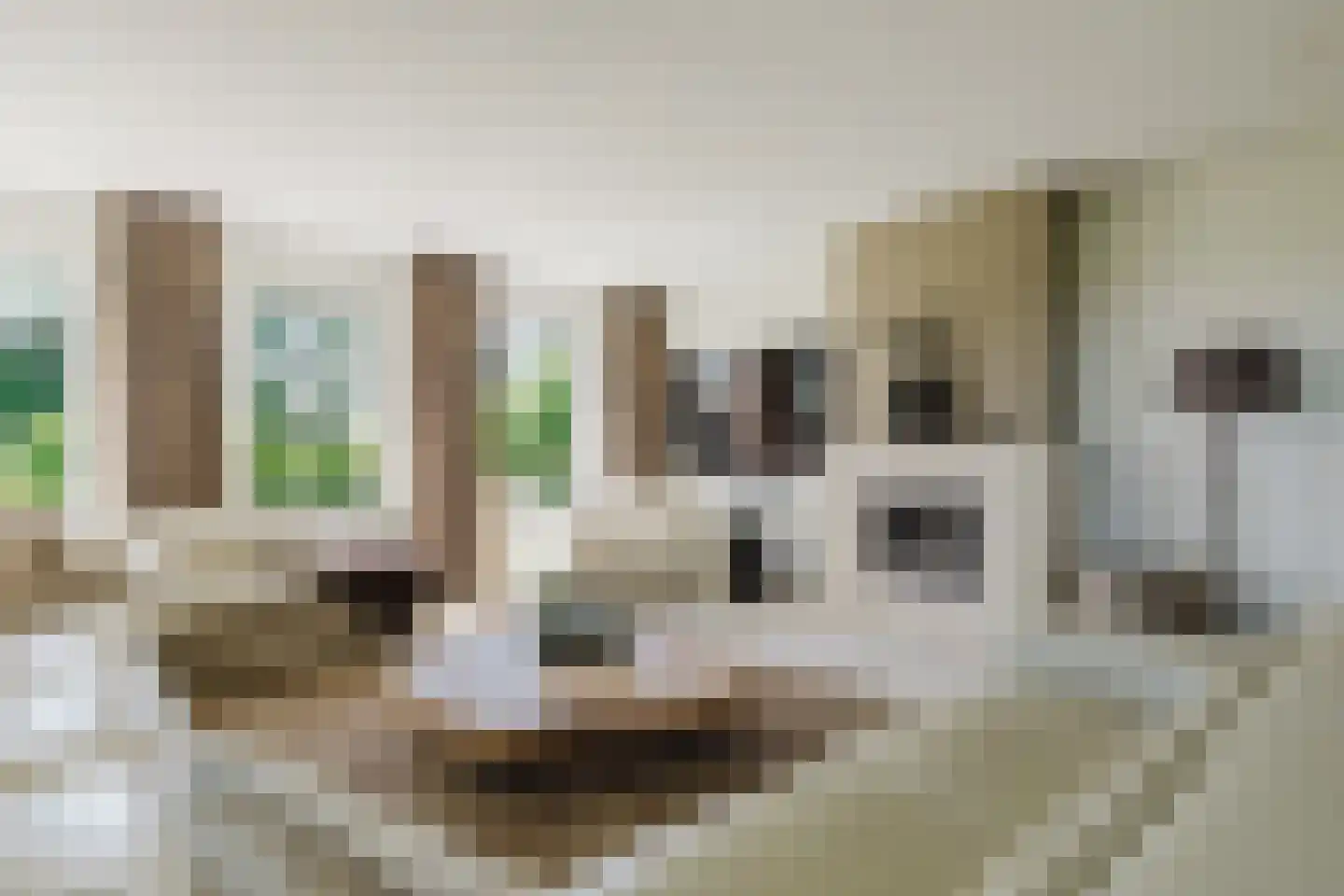 Raamloopweg 9 Klein Zundert thumbnail 11