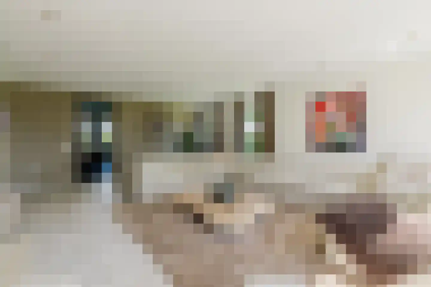 Raamloopweg 9 Klein Zundert thumbnail 13