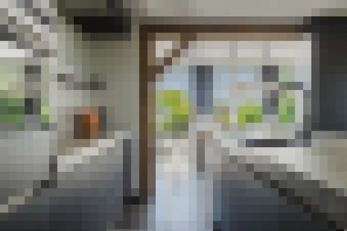 Raamloopweg 9 Klein Zundert thumbnail 17