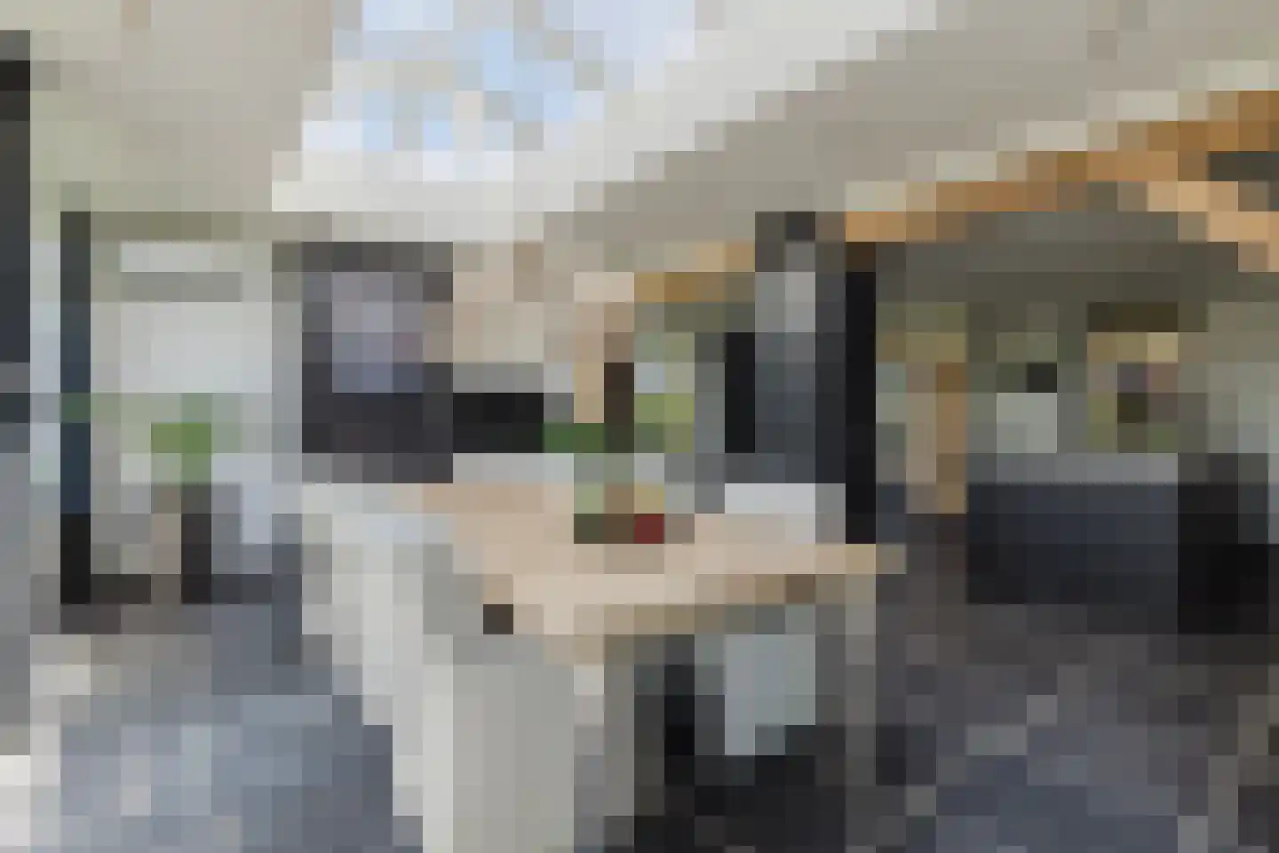 Raamloopweg 9 Klein Zundert thumbnail 22