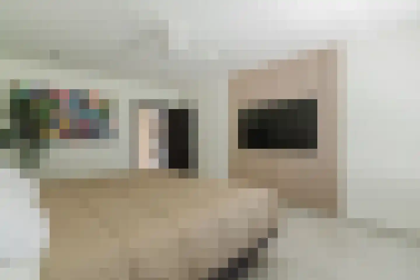 Raamloopweg 9 Klein Zundert thumbnail 29