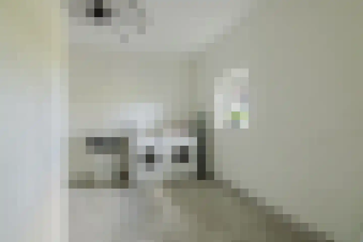 Raamloopweg 9 Klein Zundert thumbnail 30