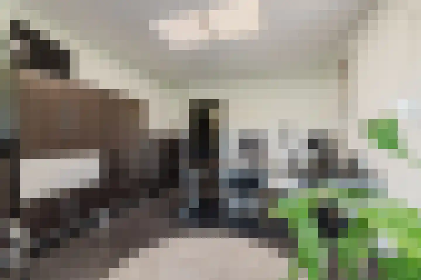 Raamloopweg 9 Klein Zundert thumbnail 33