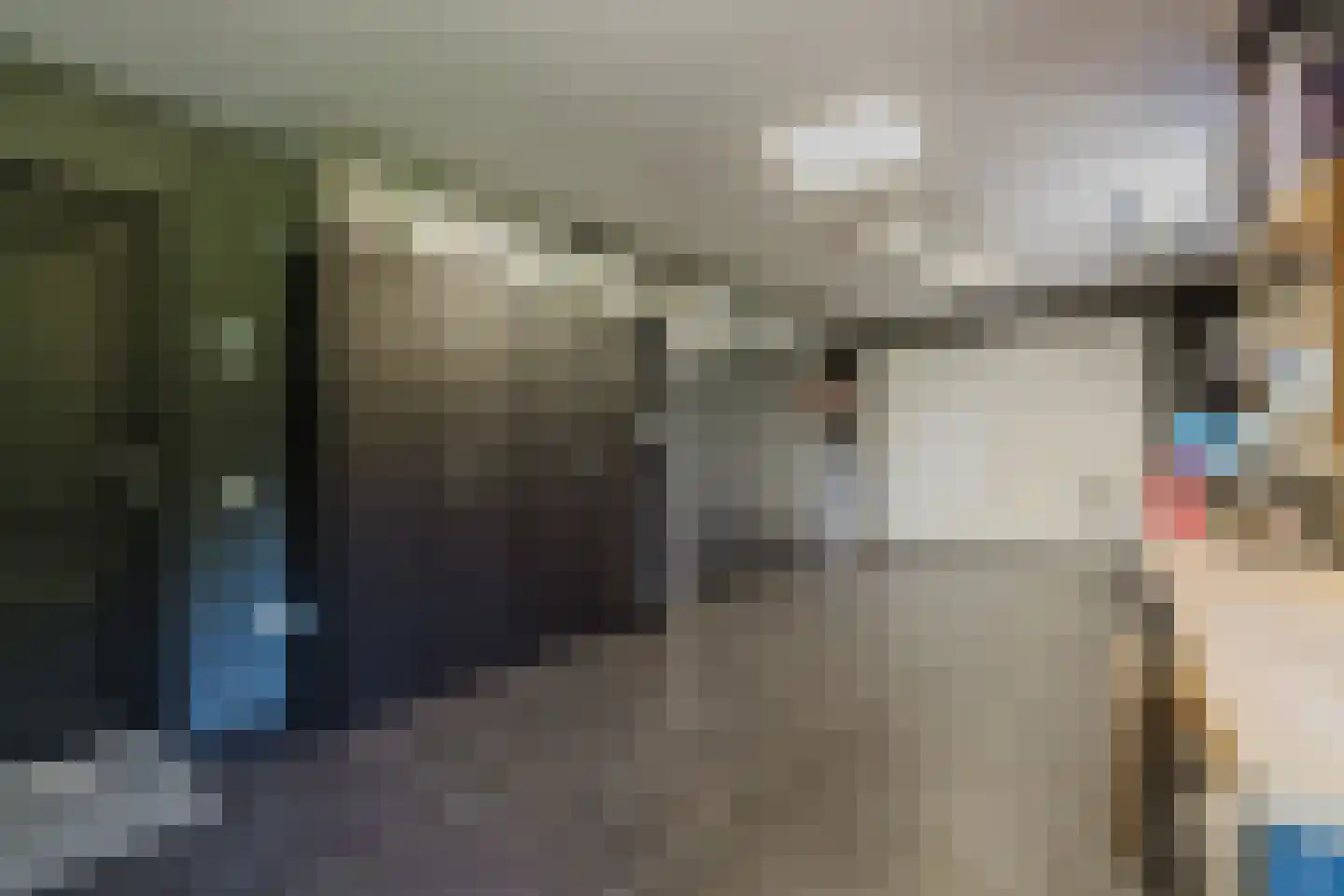 Raamloopweg 9 Klein Zundert thumbnail 34