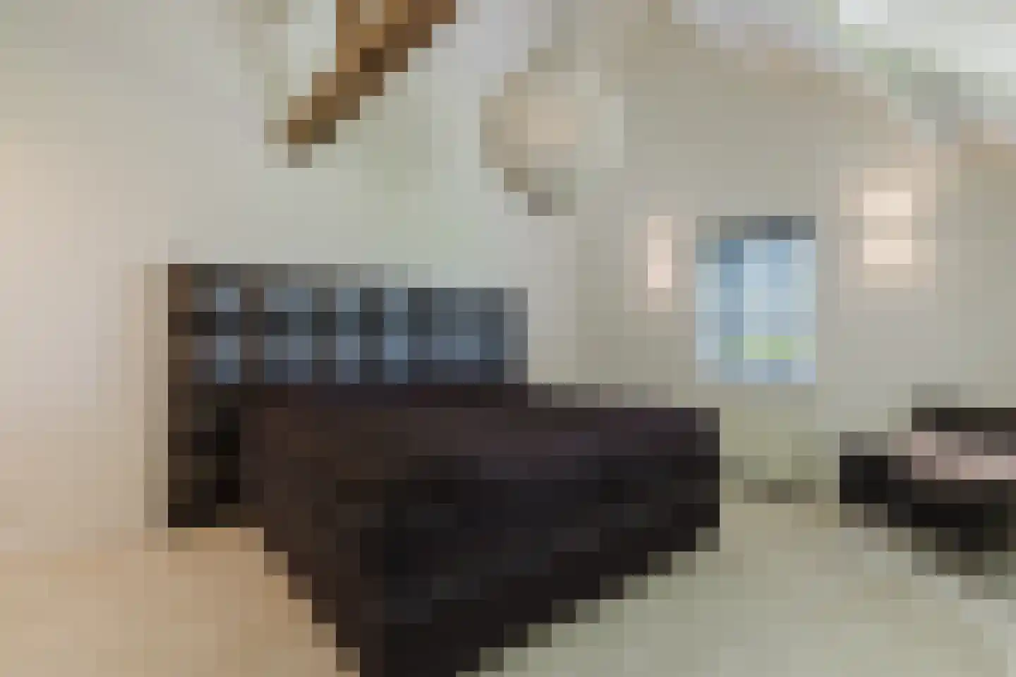 Raamloopweg 9 Klein Zundert thumbnail 37